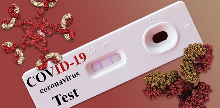 coronavirus KP