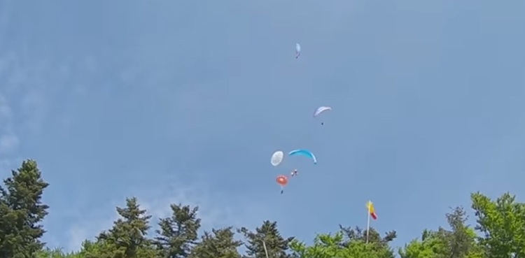 Paragliders Collide
