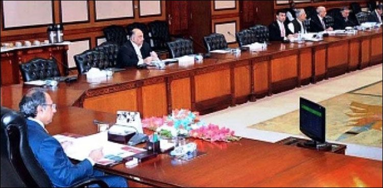 ECC meeting hafeez shaikh oxygen cylinder wheat flour