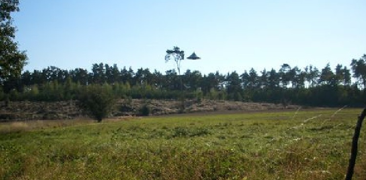 UFO