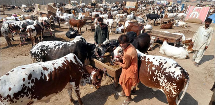 Eidul Adha Pakistan expected dates