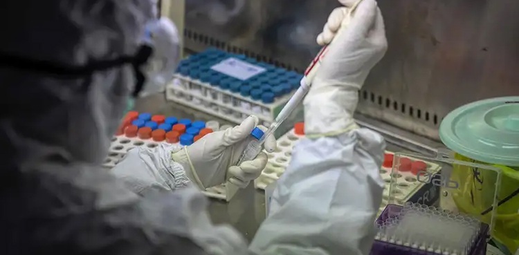 US coronavirus