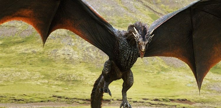 dragon