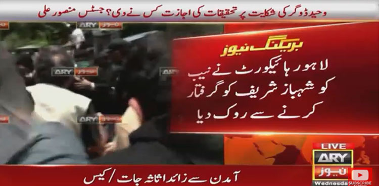 shehbaz Shehbaz