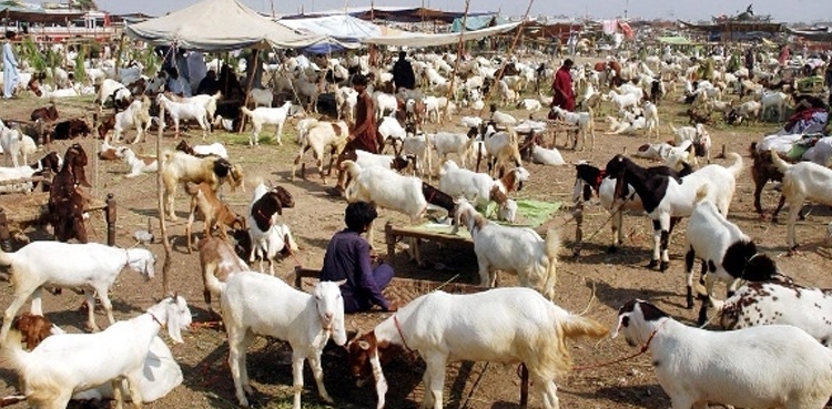 Eidul Adha 2024, Eidul Adha 2024 Date, date in Pakistan