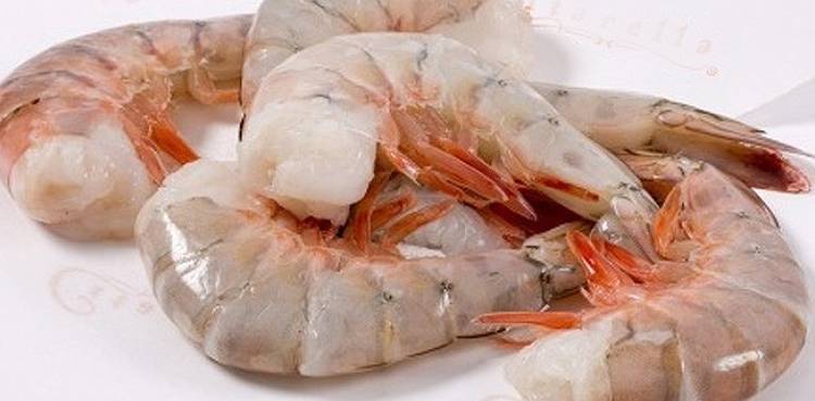 shrimp coronavirus