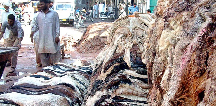 KP code of conduct sacrificial hides