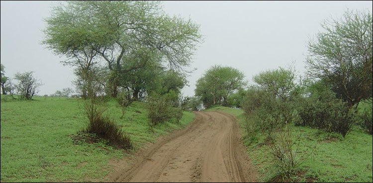 Shikarpur Indus Highway