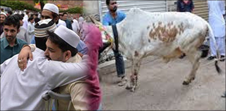 eid ul azha, holidays Sindh
