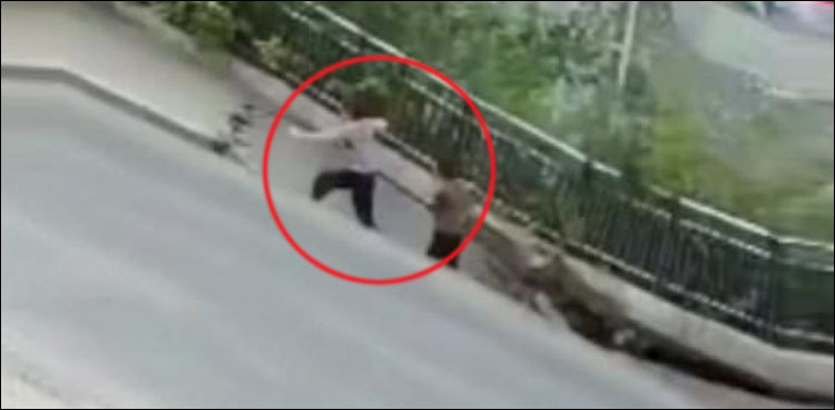 sinkhole, china swallow