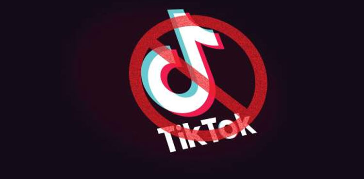pta tiktok