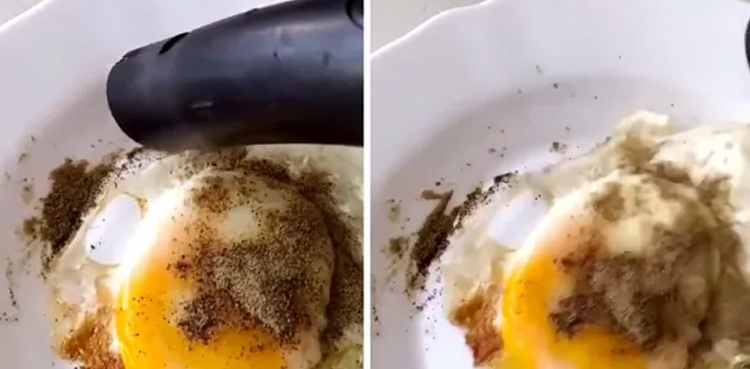 Vaccum cleaner excess pepper egg viral video
