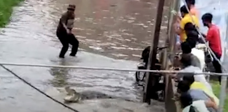 crocodile Karachi Manghopir