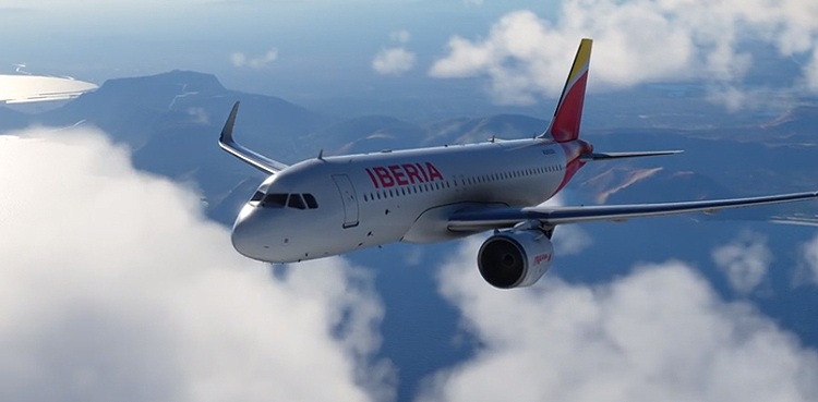 flight simulator gamer