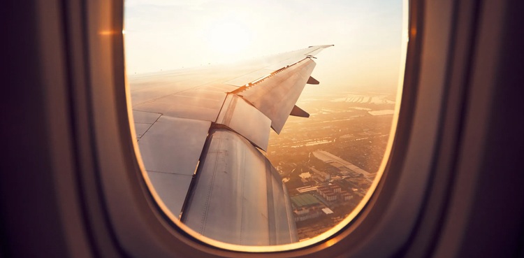 TikTok video window flight