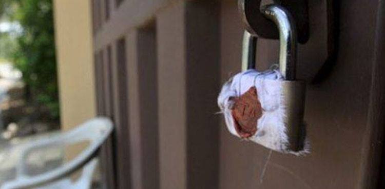 peshawar educational institutes closed covid-19