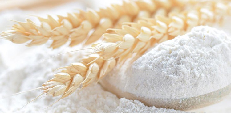 flour price punjab increase