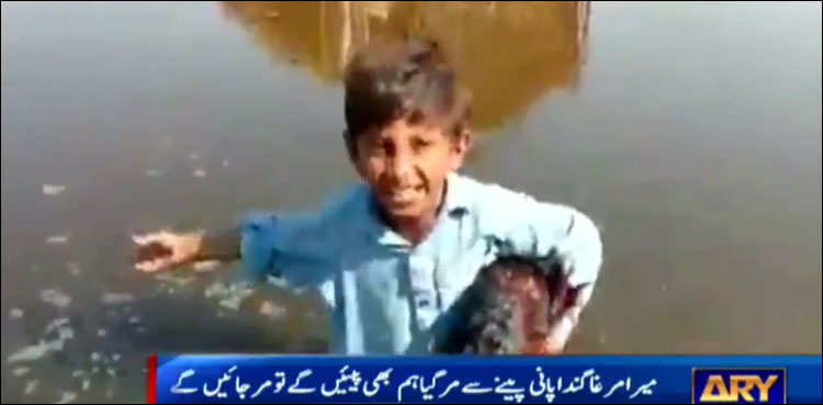 rooster dies Sindh