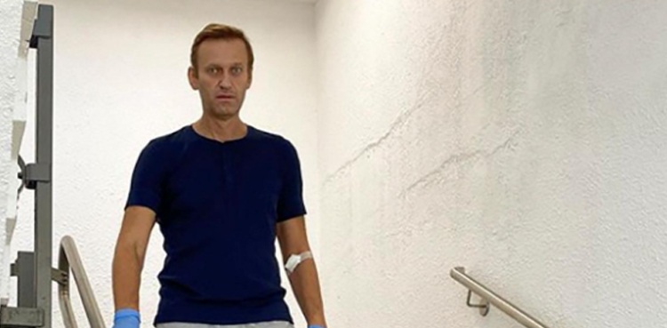 Navalny Putin photo
