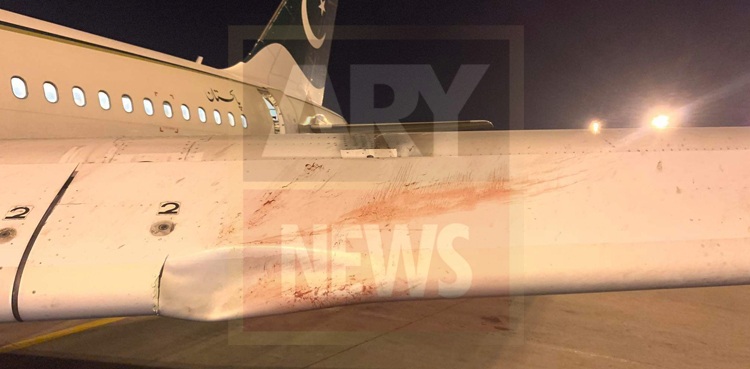 pia planes bird strike airports pakistan