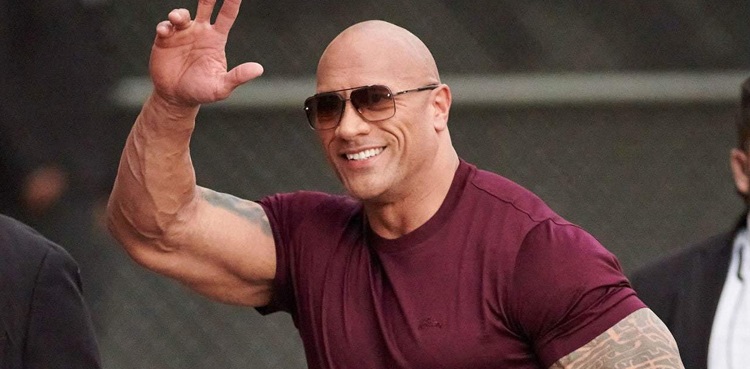Dwayne Johnson security gate