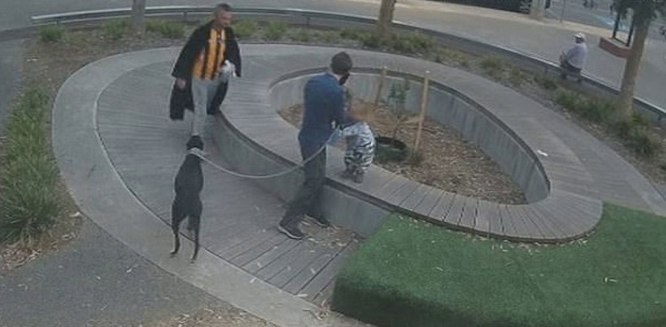 brave-dad-wrestles-druggy-drug-addled-stranger