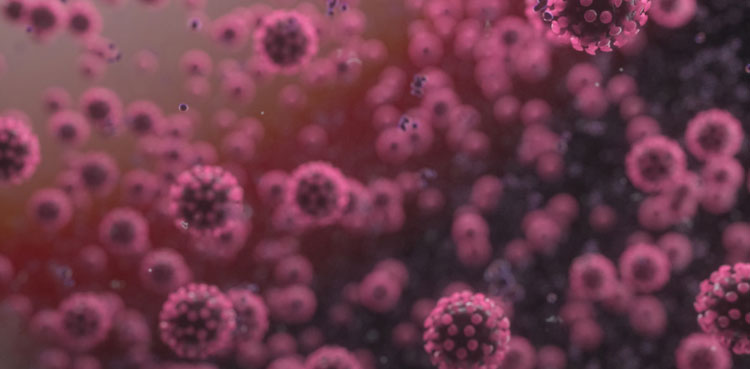 NIH Coronavirus Variant