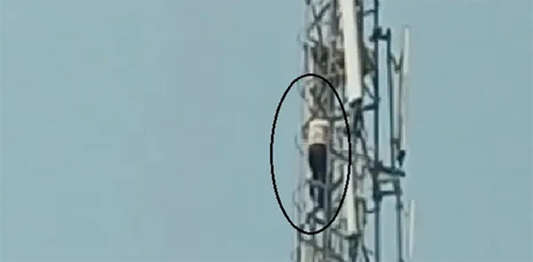 mobile tower, man wife fight