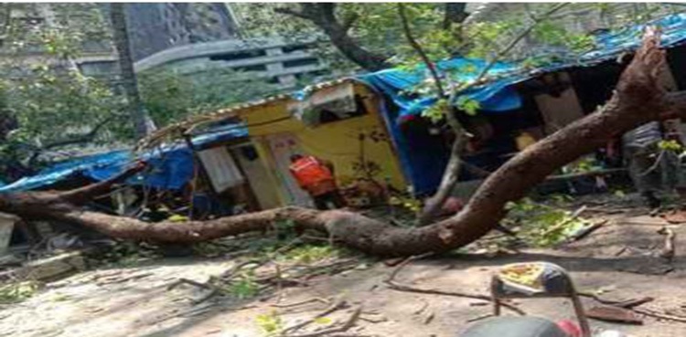 nine-year-old-boy-died