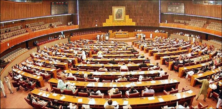 fatf bills, Parliament
