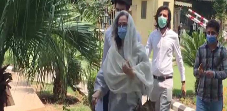 cerina-isa-qazi-faez-isa-fbr supreme court tax