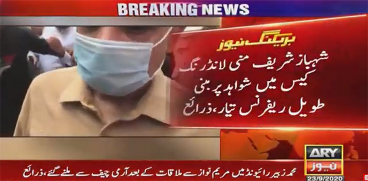 nab, shehbaz sharif, pml-n, benami assets