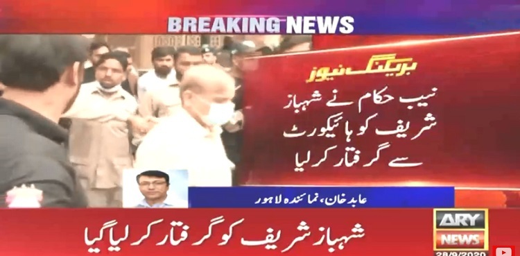 shehbaz sharif NAB LHC bail