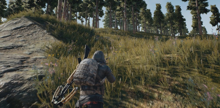 pubg