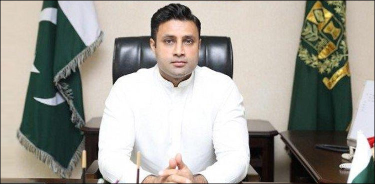 Zulfi bukhari, PTI, Nationality, Islamabad