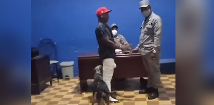 Dog Freed Owner