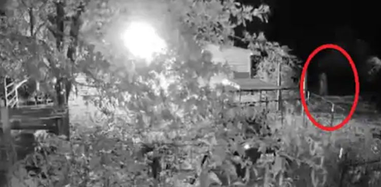 Ghostly figure camera