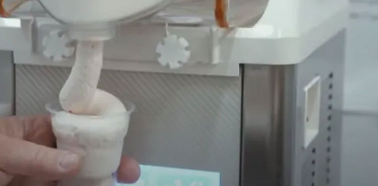 ice-cream meat-flavoured