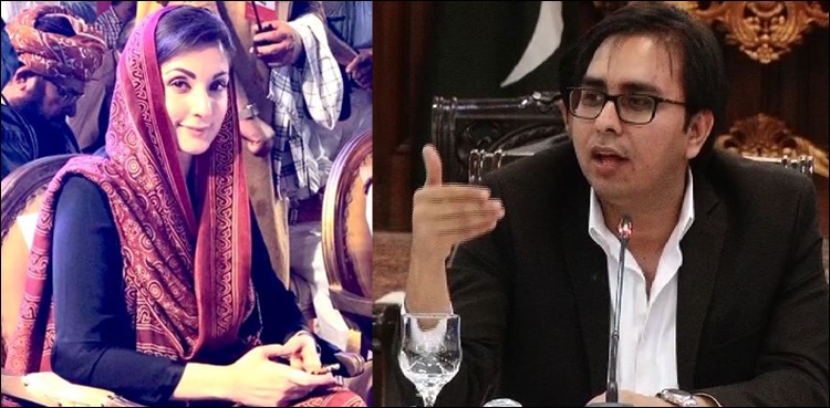 Maryam Nawaz, Shahbaz Gill, PDM Karachi rally