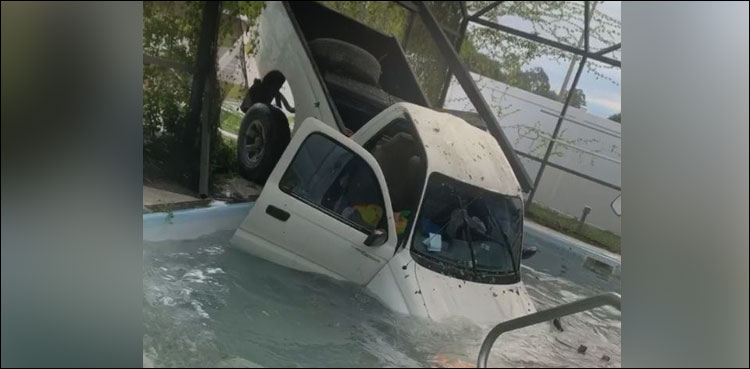 Pickup truck swimming pool