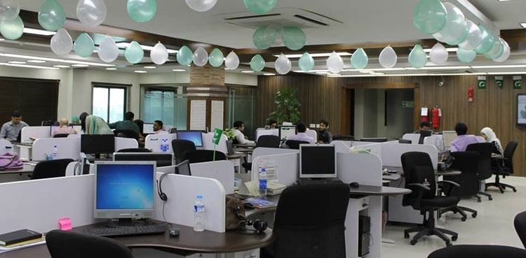 50-percent-staff-govt