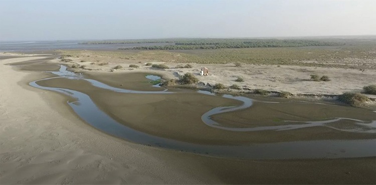 Bundal and Buddo islands, Karachi, Sindh Forest Deptt