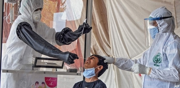 covid-19 infections deaths pakistan ncoc