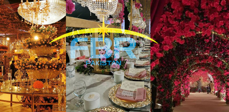 The revenue board extravagant wedding lahore tax evasion