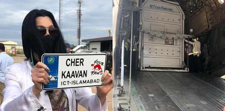 Kaavan land safely