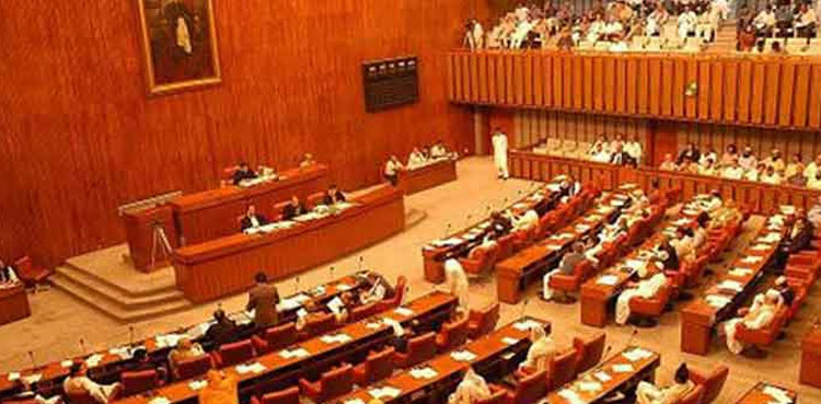 senators, senate, pakistan, cabinet committee, horse trading