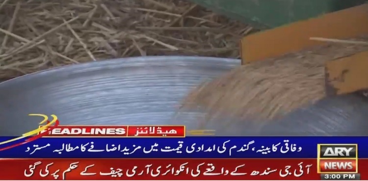 federal cabinet wheat support price