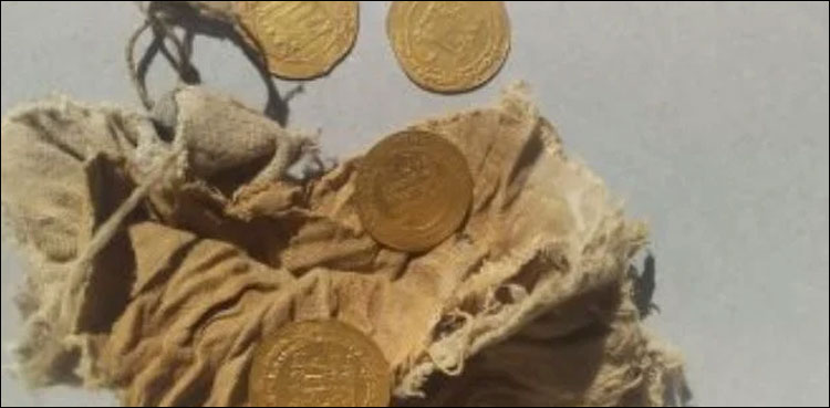 Nazi gold, Dutch village treasure hunt