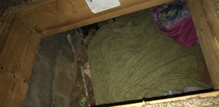 missing girl intentionally hiding closet trapdoor california