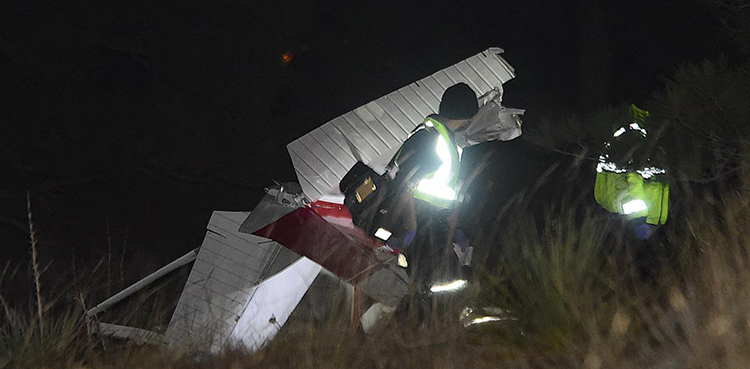 plane crash united states dog